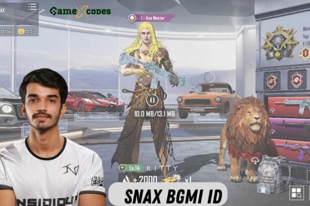 Snax BGMI ID